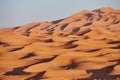 Endless Sands of the Sahara desert. Beautiful sunset over sand dunes of Sahara Desert Morocco Africa Royalty Free Stock Photo