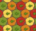 Endless seamless pattern of fresh bell pepper. Vector paprika. Multicolored sweet pepper