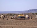 Endless slums of Somalis, living in utter poverty and despair. Afar Province, Ethiopia Royalty Free Stock Photo