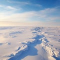 Endless Snow Desert Landscape, Vast Arctic Tundra and Icy Horizons