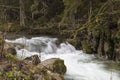 Endless stream. Beautiful fast mountain river in forest. Slovakia Royalty Free Stock Photo