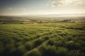 Scenic green wheat fields in spain