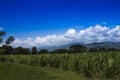 Landscape of valle del cauca en colombia