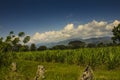 Landscape of valle del cauca en colombia