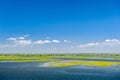 Endless summer landscape. Lake, forest and clear blue sky with beautiful little clouds. Royalty Free Stock Photo