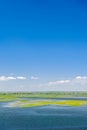 Endless summer landscape. Lake, forest and clear blue sky with beautiful little clouds. Royalty Free Stock Photo