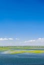 Endless summer landscape. Lake, forest and clear blue sky with beautiful little clouds. Royalty Free Stock Photo