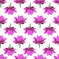 Endless vector pattern of blooming lotuses. Pink water Lily. Plants on an isolated background.