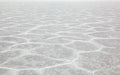 Endless white octagon shapes in the salt flat