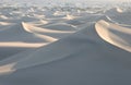 Endless white sand dunes Royalty Free Stock Photo