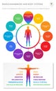 Endocannabinoid and Body Systems vertical business infographic Royalty Free Stock Photo