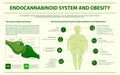 Endocannabinoid System and Obesity horizontal infographic Royalty Free Stock Photo