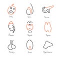 Endocrine glands medical outline icon collection, vector illustration set