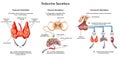 Endocrine secretions