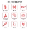 Endocrine system. Set icons