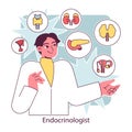 Endocrinology. Endocrine system organs, pancreas thyroid gland, pituitary Royalty Free Stock Photo