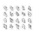 Endocrinology Medical Disease isometric icons set vector