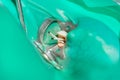 Endodontic treatment of teeth close-up. Cleaning of the roots of