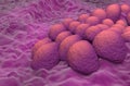 Endometrial cancer cells adenocarcinoma in the uterus or cervix womb neck - closeup view 3d illustration
