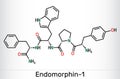 Endomorphin-1 (EM-1) molecule. Endogenous opioid peptide for pain modulation. Skeletal chemical formula. Vector Royalty Free Stock Photo