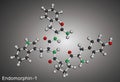 Endomorphin-1 (EM-1) molecule. Endogenous opioid peptideMolecular model. 3D rendering. Illustration Royalty Free Stock Photo