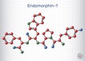 Endomorphin-1 (EM-1) molecule. Molecule model. Sheet of paper in a cage. Vector Royalty Free Stock Photo