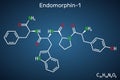 Endomorphin-1 (EM-1) molecule. Structural chemical formula on the dark blue background. Vector Royalty Free Stock Photo