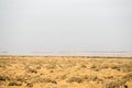 Endorheic salt lake in southern Tunisia