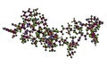 Endorphin - molecular structure, 3D rendering