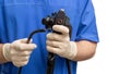 Endoscope. A medical device in the hands of a gastroenterologist, close-up. Royalty Free Stock Photo