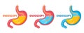 Endoscopy stomach, gastroscopy icon set. Gastroenterology endoscope, medical examination digestive tract, gastritis, ulcer. Vector