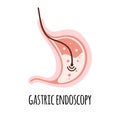 Endoscopy. The stomach of a healthy person. Gastroenterology. Vector illustration in a flat style.