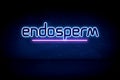 endosperm - blue neon announcement signboard