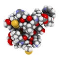 Endothelin 1 (ET-1) vasoconstrictory peptide molecule
