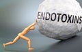 Endotoxins and painful human condition, pictured as a wooden human figure pushing heavy weight to show how hard it can be to deal Royalty Free Stock Photo