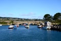 View along the River Axe, Axmouth. Royalty Free Stock Photo