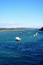 View along the River Axe, Axmouth. Royalty Free Stock Photo