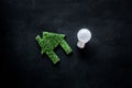 Enegry saving technology concept. House cutout made of green grass near light bulb on black background top view copy