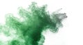 Dynamic Burst of Emerald Green and Metallic Silver Powder Cloud Royalty Free Stock Photo