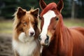 Energetic Collie dog horse day. Generate Ai