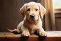 Energetic Cute labrador dog. Generate Ai