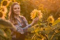 Energetic, female farmer examining sunflowers in the middle of a beautiful sunflower field, during a scenic sunrise Royalty Free Stock Photo