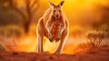Energetic Kangaroo: Majestic Motion in the Australian Outback