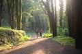 Energetic man and woman jogging in forest Royalty Free Stock Photo