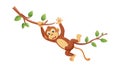 Energetic Monkey Swinging on a Branch, Wildlife Movement, vector design Generative AI Royalty Free Stock Photo