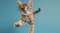 The jumping playful kitten.AI generated image Royalty Free Stock Photo