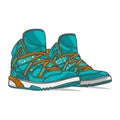 Vector fitness sneakers shoes for training, running shoe vector illustration