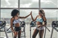 Two athlete woman giving high five in the gym