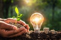 energy concept. eco power. lightbulb with money and hand holding small tree  sunlight background Royalty Free Stock Photo