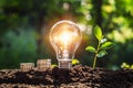 energy concept. eco power. lightbulb with money and young plant on soil sunlight background